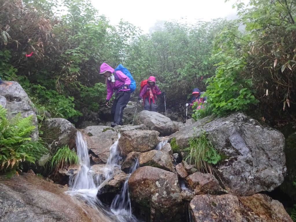 雨が降ったり止んだりの中、渡渉を何度も繰り返して下山します