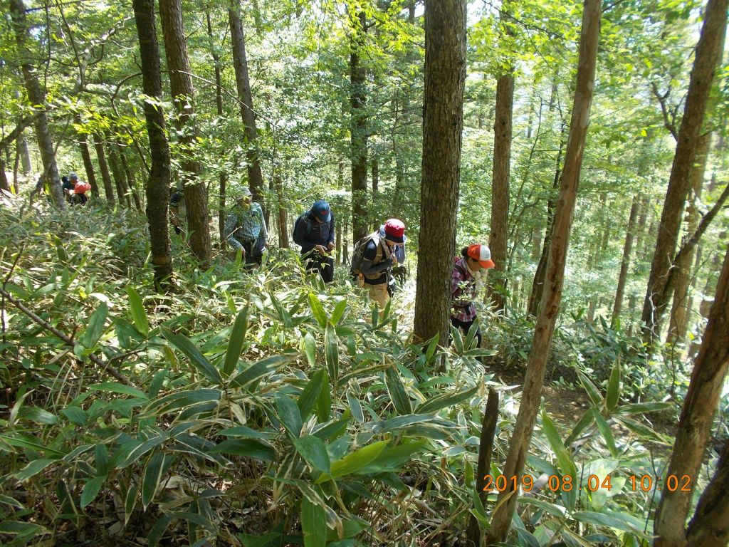 意外に涼しい中、黙々と登ります