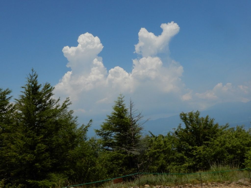 入道雲になりかけの雲、終日良い天気でした