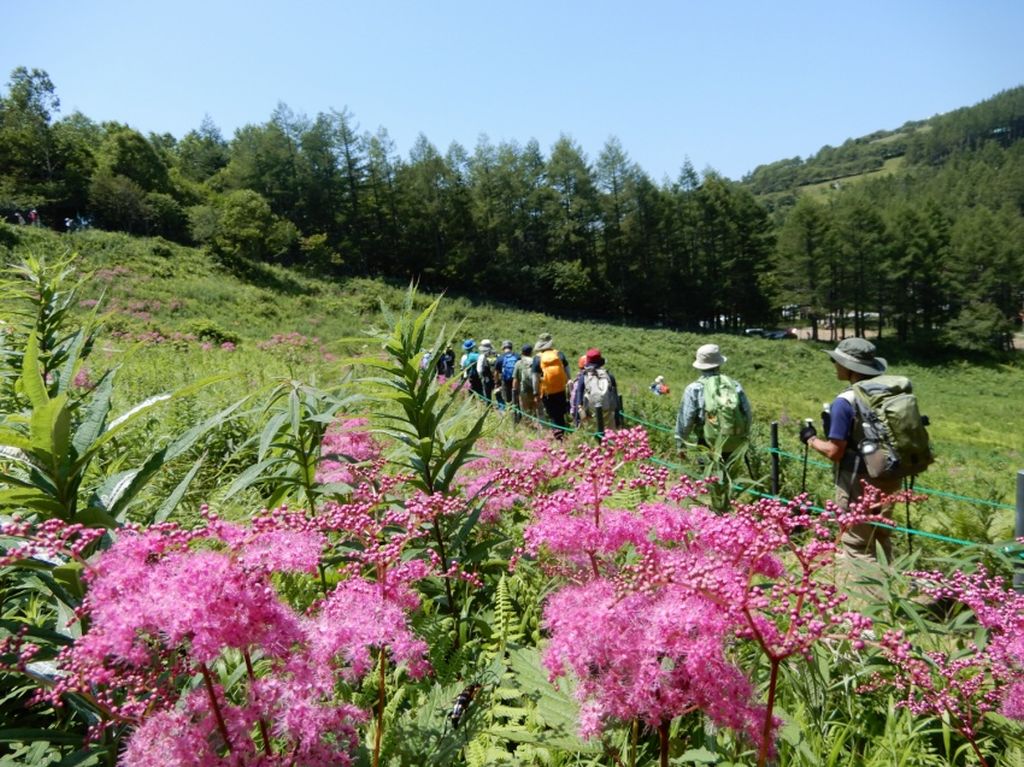 お花畑の中、歓声をあげながら下山します