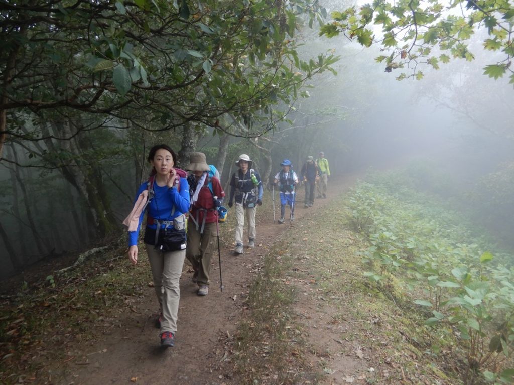 霧の中を下山します