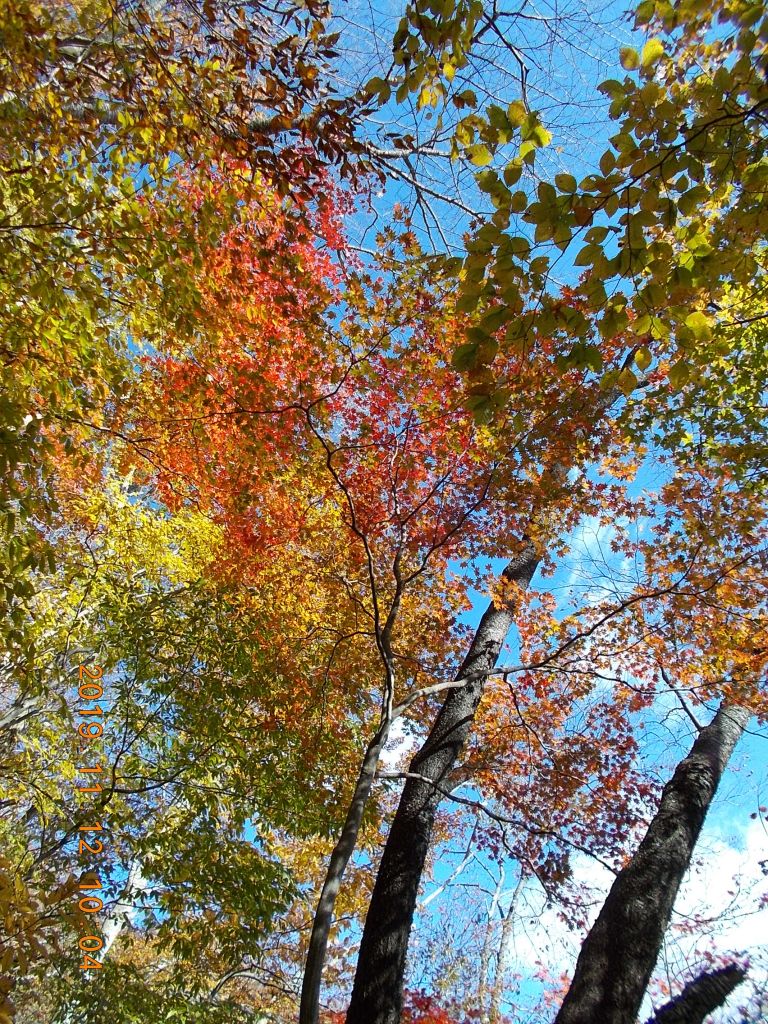 空は抜けるような青空、紅葉が美しい