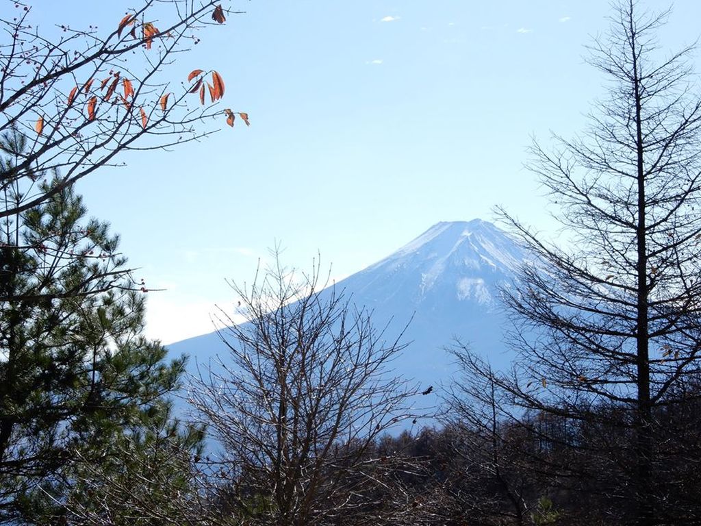 富士山の大きさに皆大満足