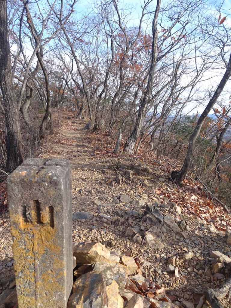 平坦な縦走路、この先はアップダウンが続きます