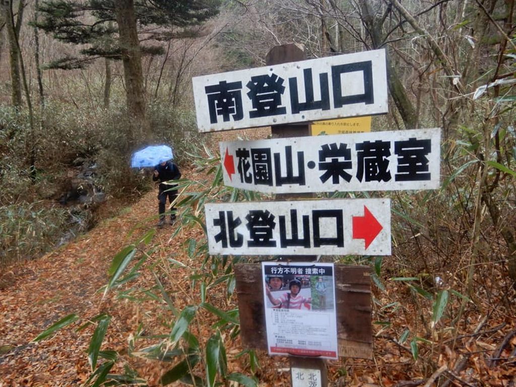 花園山をカットして南登山口に下山しました。