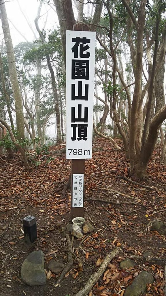 Mさんのみ駆け登ってきた花園山