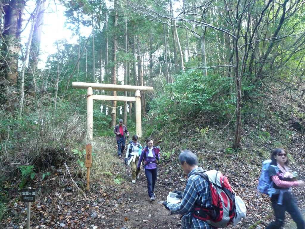 安龍ヶ滝分岐にある鳥居