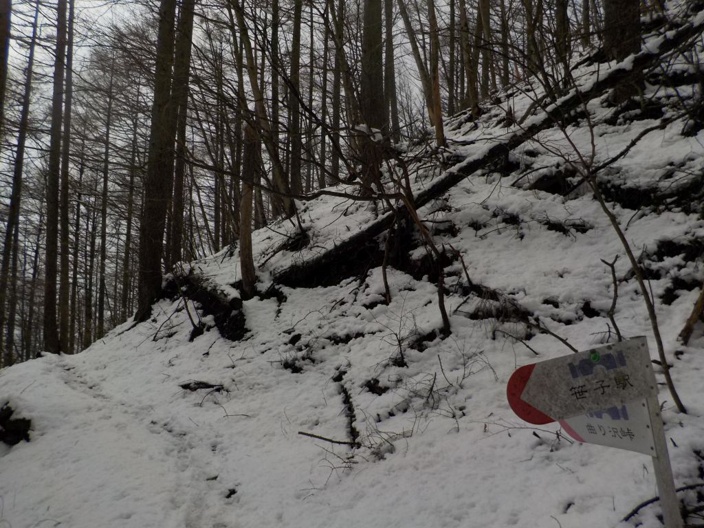 5cmくらいの積雪でしょうか。