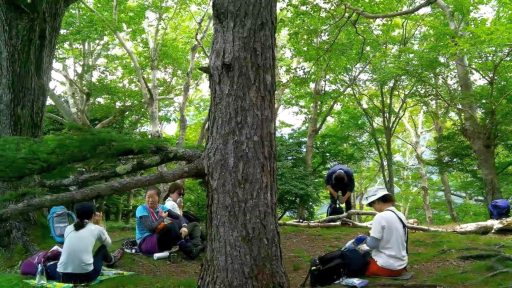 高山頂上昼食休憩