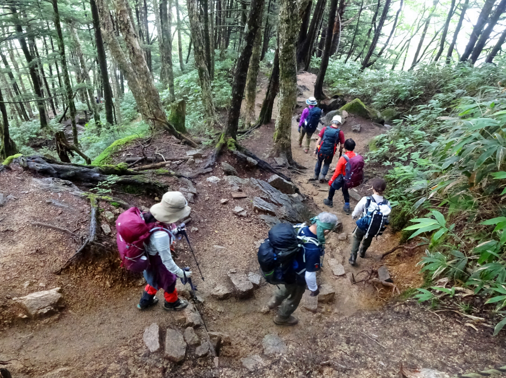 急坂を慎重に下山します