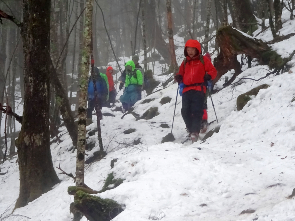 あと少しで登山終了、最後の下り