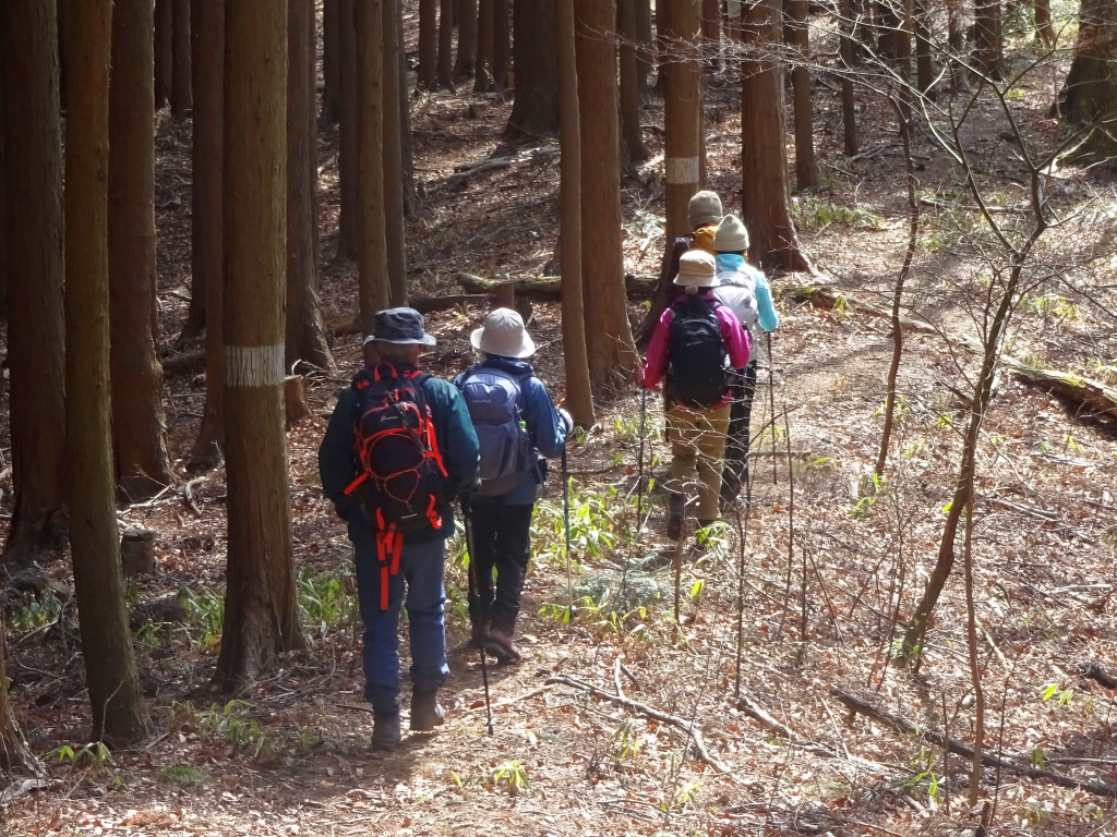 泉沢尾根の落ち葉を踏みしめて下山(B班)