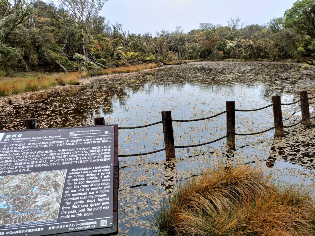 猫越（ねっこ）岳山頂の池