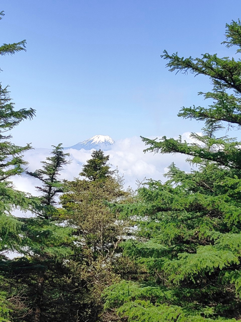 姫次では富士山もお出ましに。