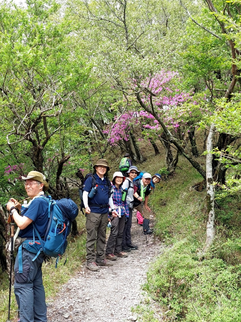 鮮やかな緑と花のトンネルを通って無事下山。