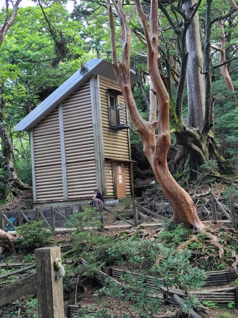 新高塚小屋で泊まり、翌日高塚小屋の前を通ります