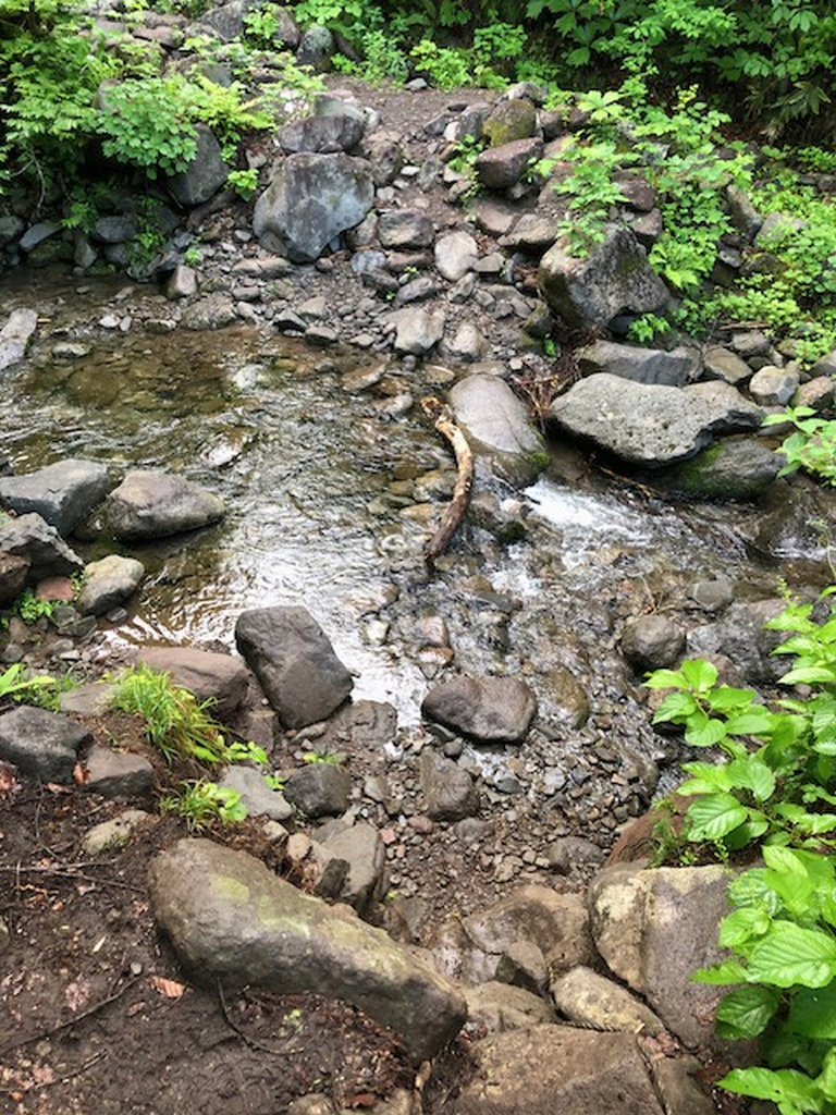 前日の降雨の影響で小川を渡渉