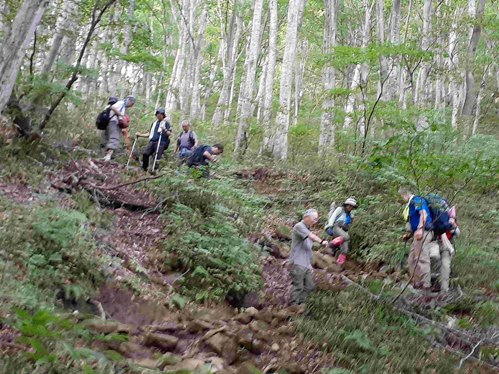 ２班　登山口手前　もう少し