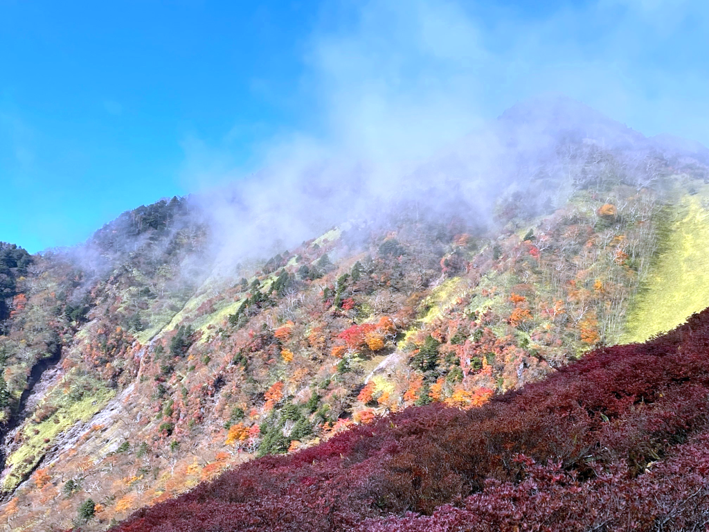 紅葉に染まる日光の山