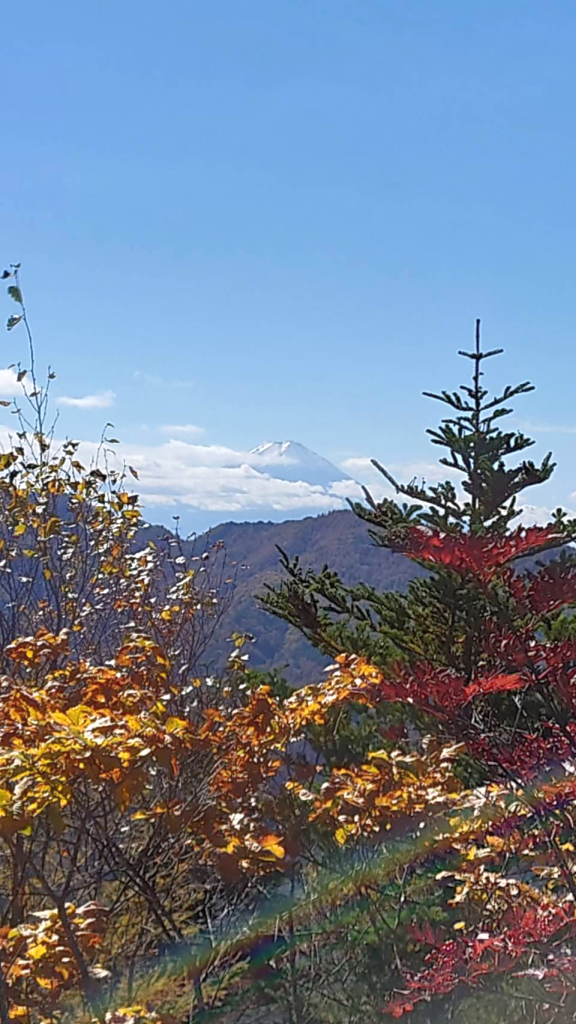 同じく見晴台にて、雲の上に富士山が頭を出しています