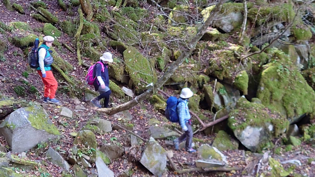 「こんなに登ったっけ？」と言いながらの下山道（笑）