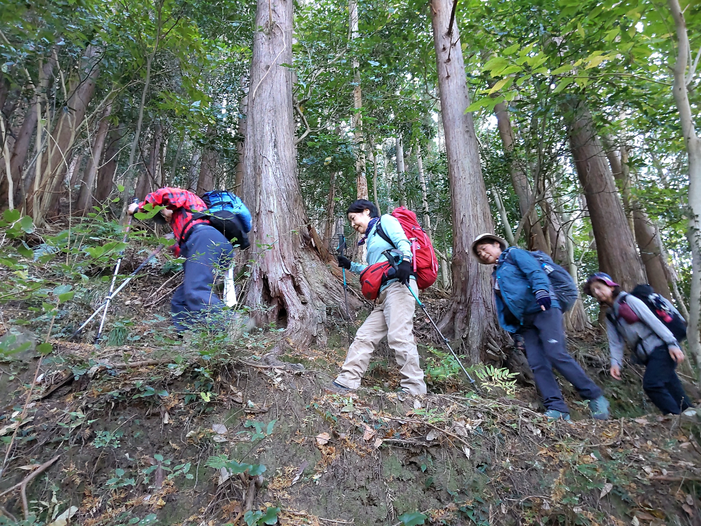 発端丈山登り