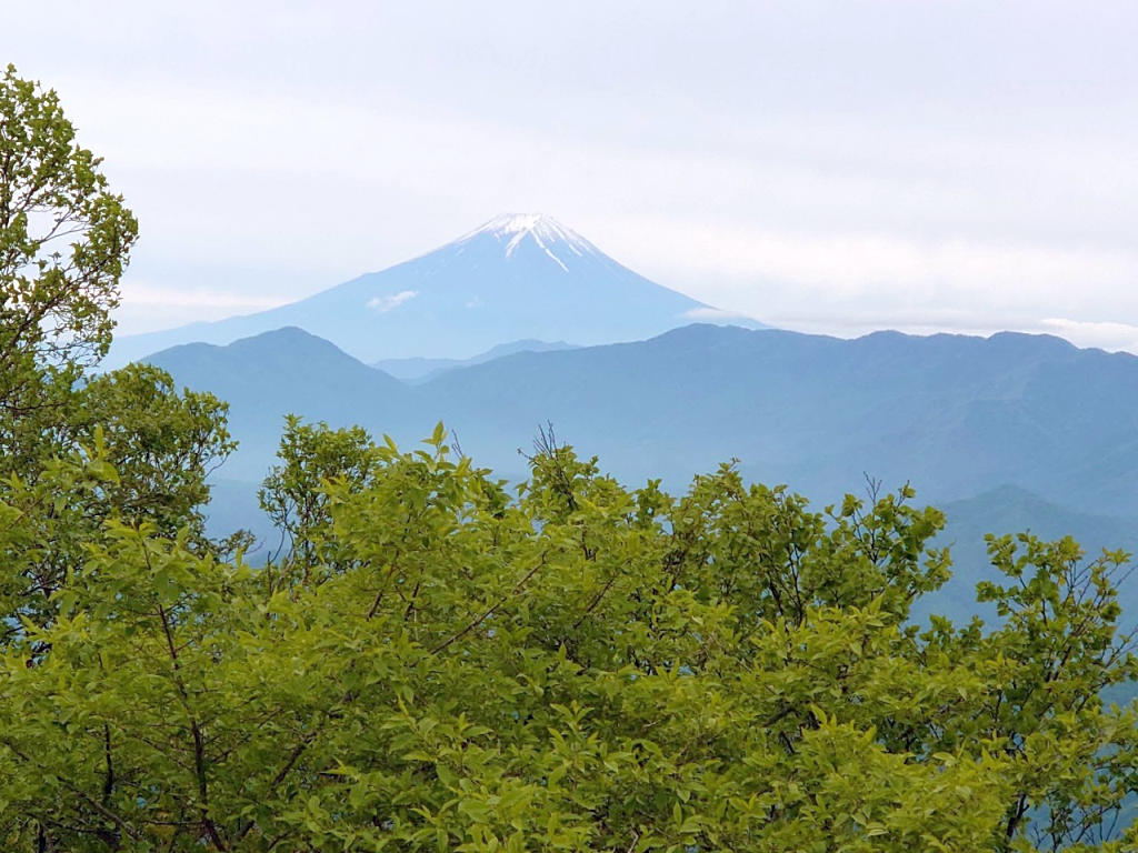 雲取山から七つ石山へは富士山を見ながらの縦走です