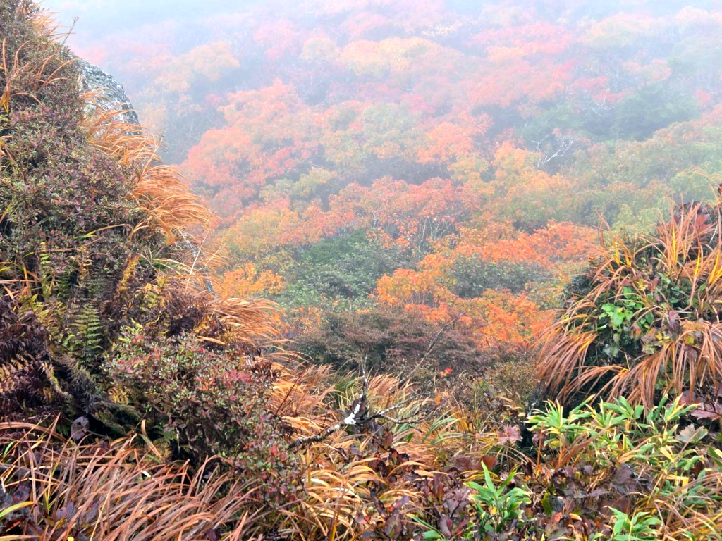 三ツ石山山頂から