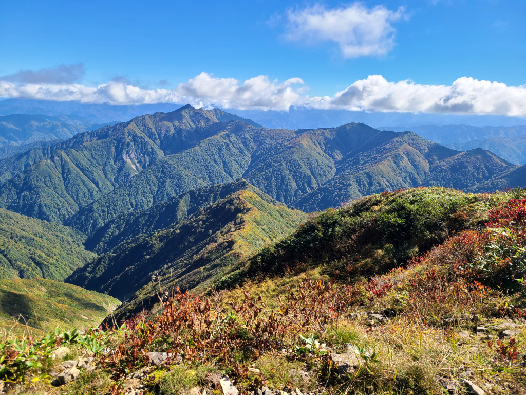 山頂からの絶景