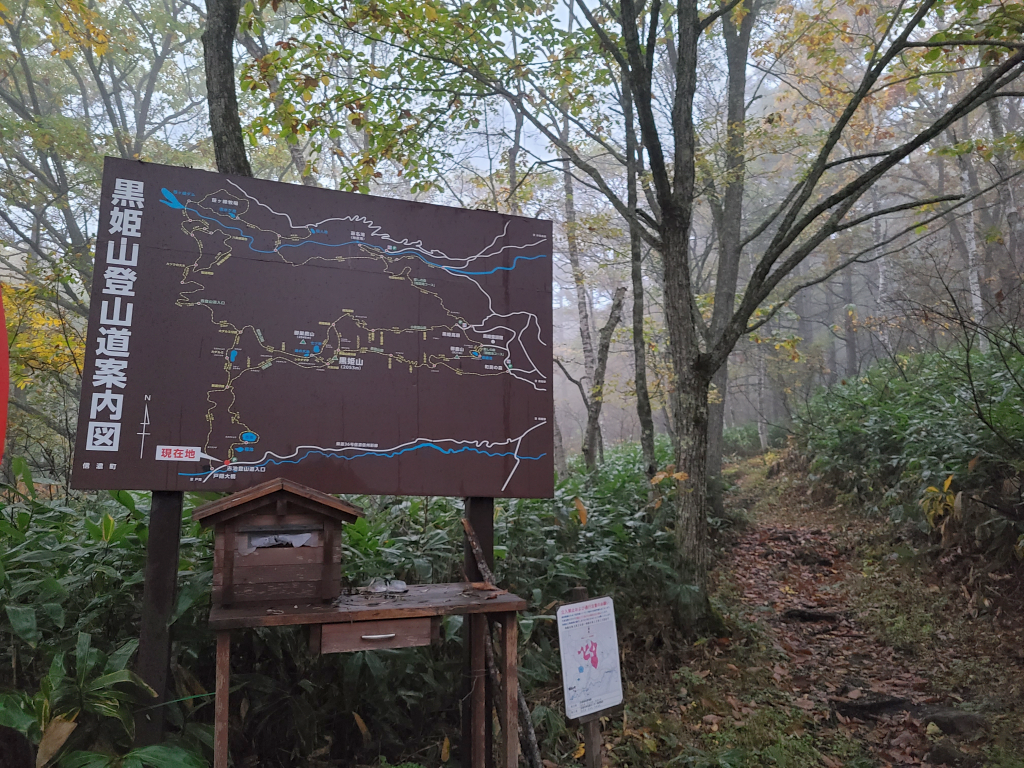 朝6時大橋登山口より出発