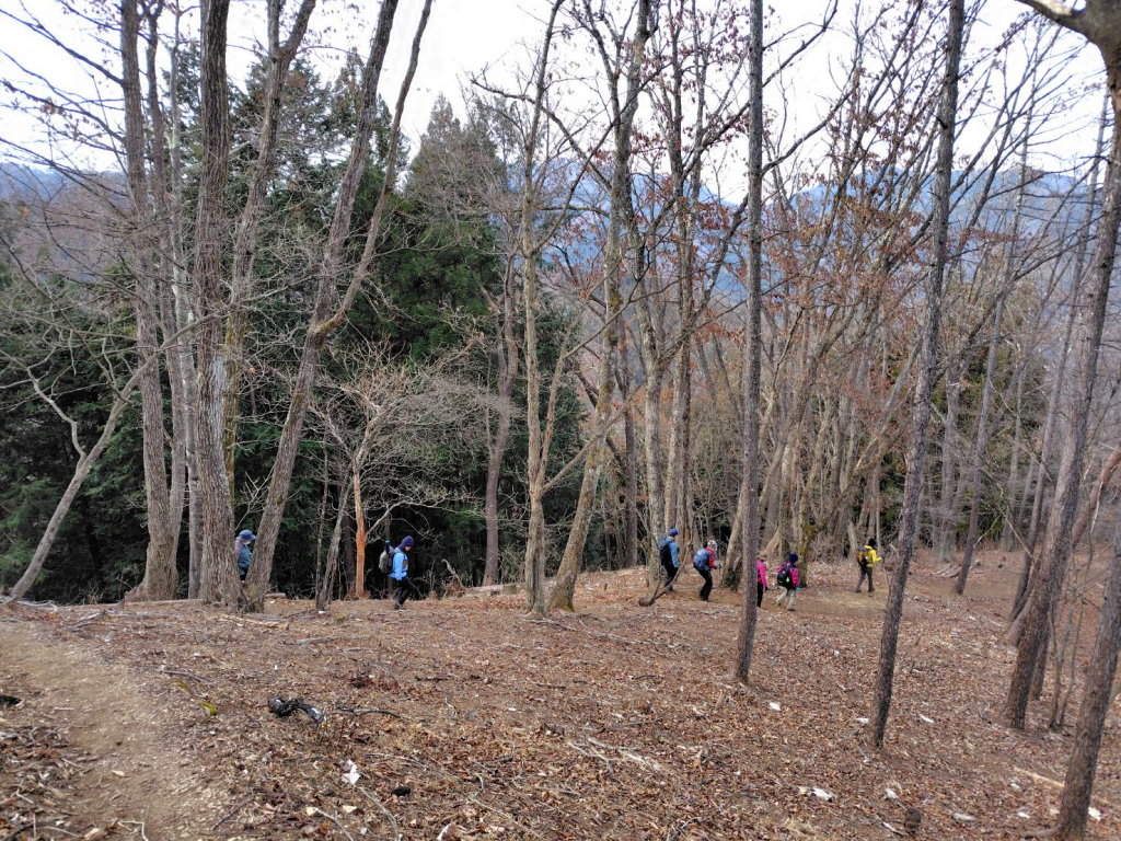 落ち葉が積もった登山道を滑らないように下山します