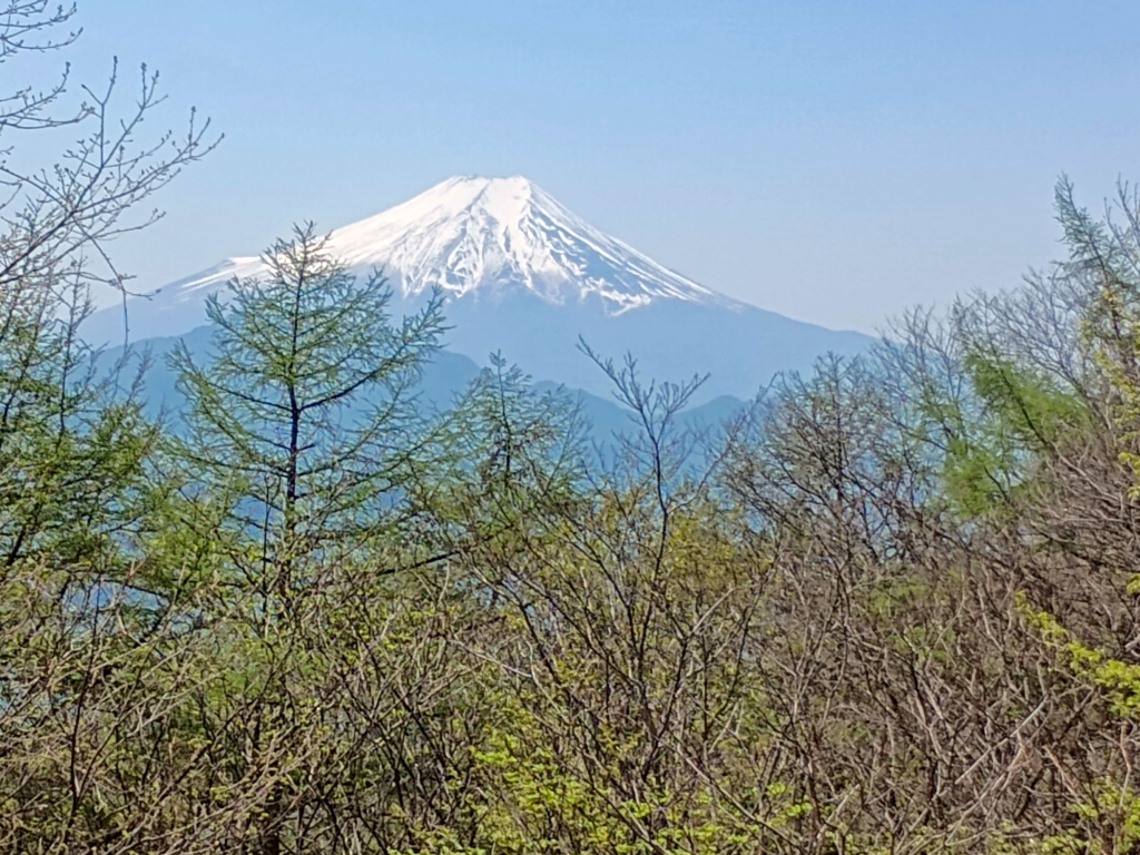 扇山頂上からの富士山