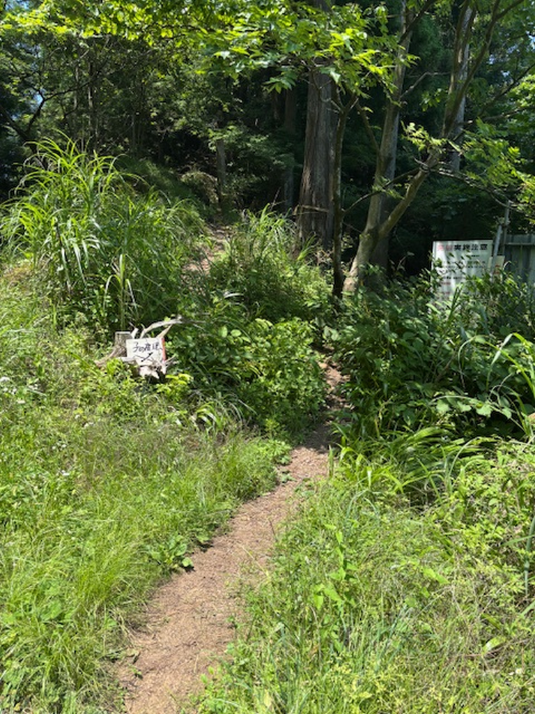 林道（舗道）から山道に入る場所