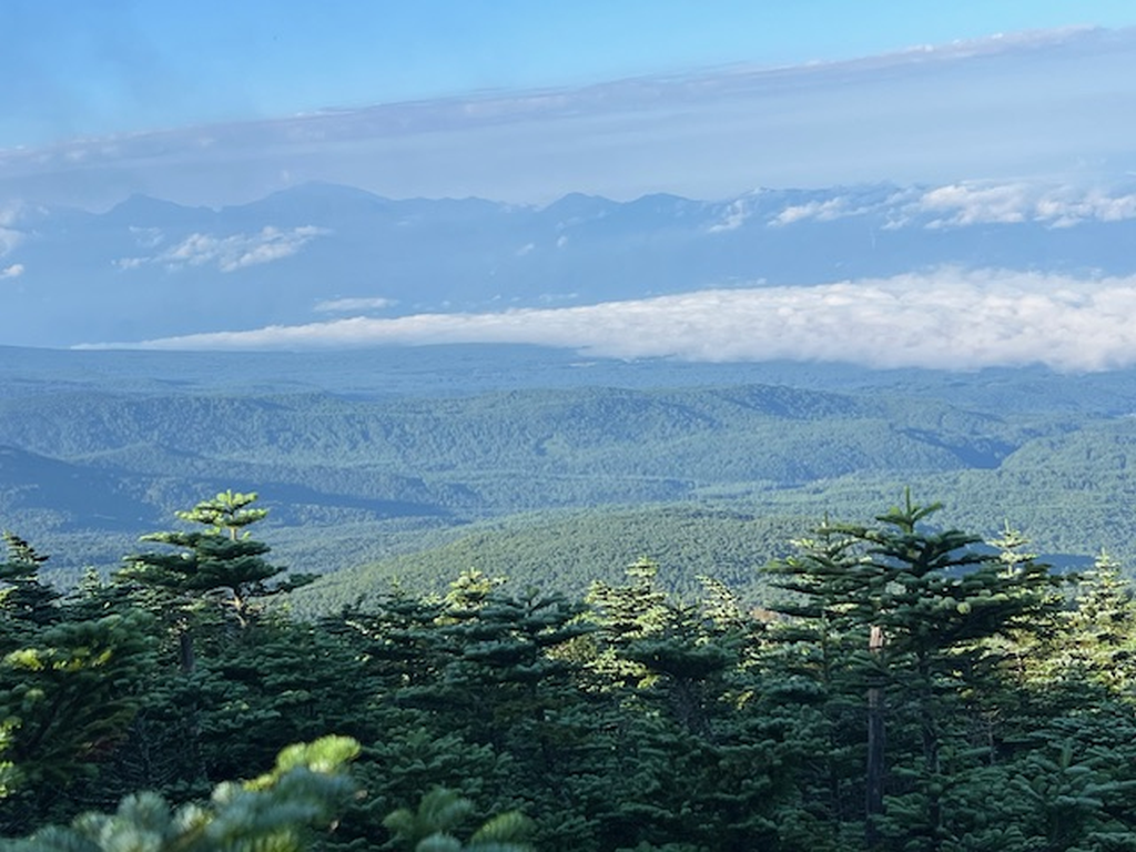 縞枯山からの景色1