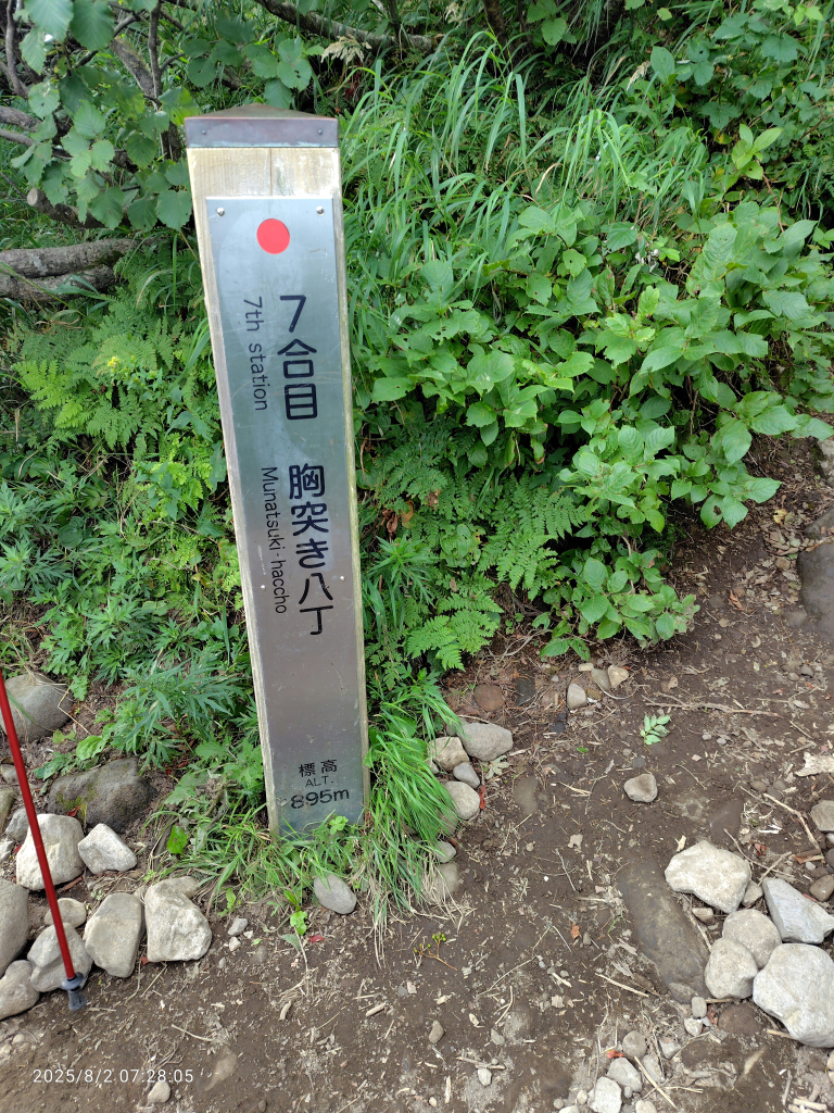 7合目から大変？