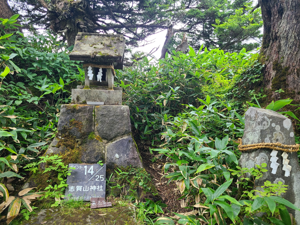 裏志賀山山頂は祠のみ
