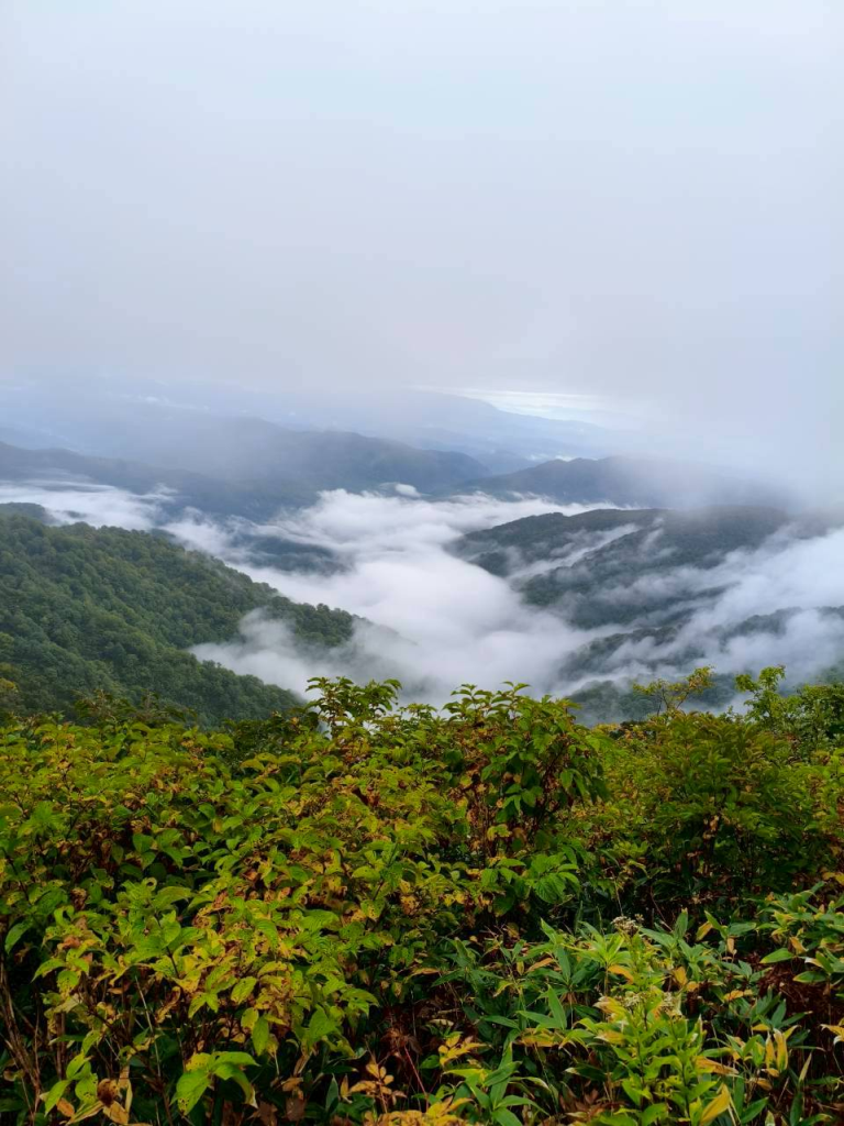谷間に立ち込める雲