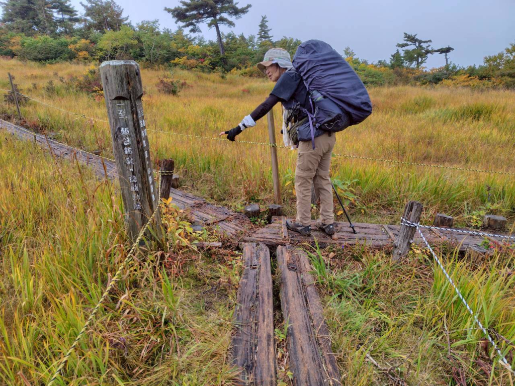 鳥原山避難小屋前の湿原