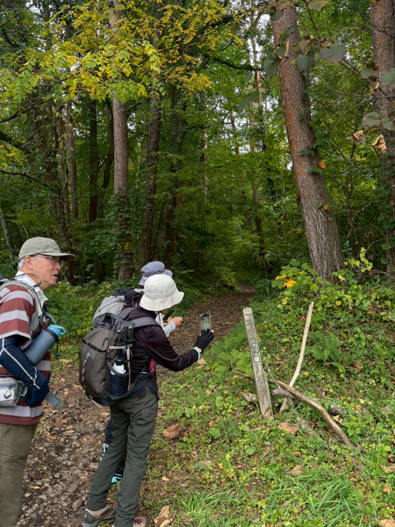 【1日目】一本杉登山口より登山開始