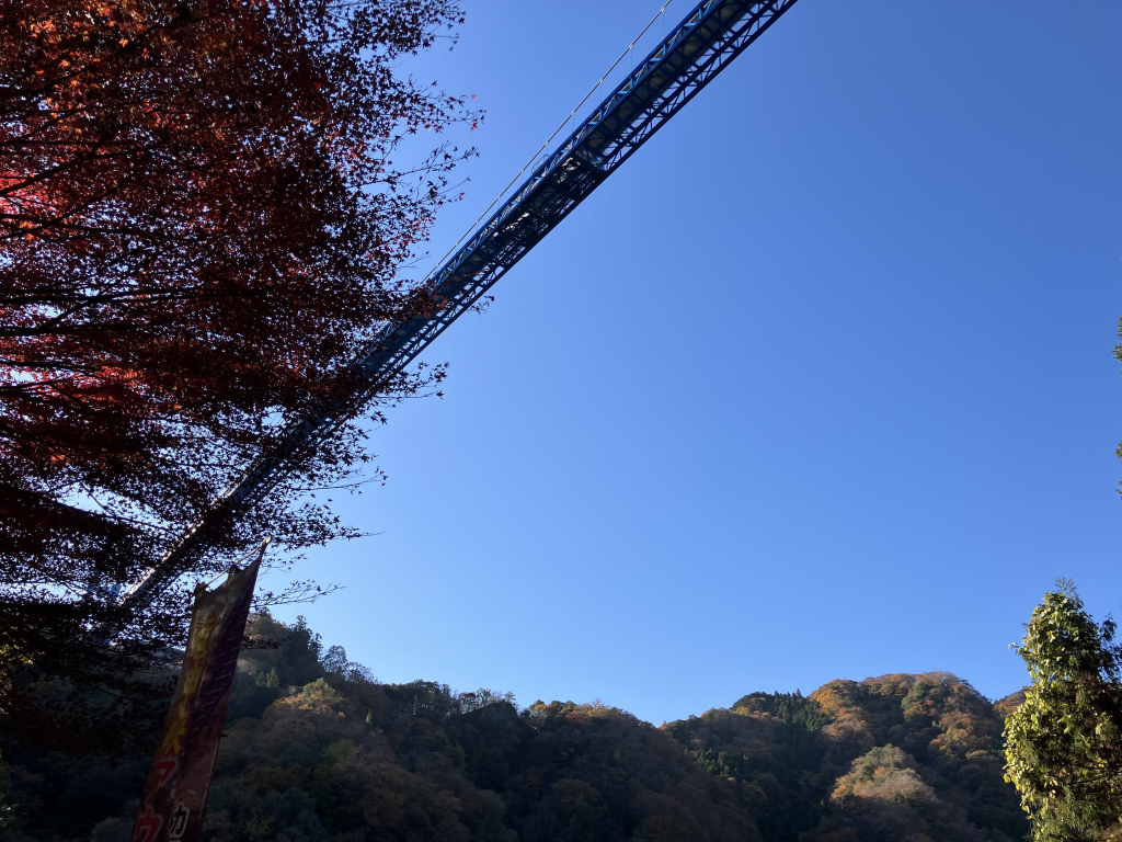 竜神大橋の下を行く