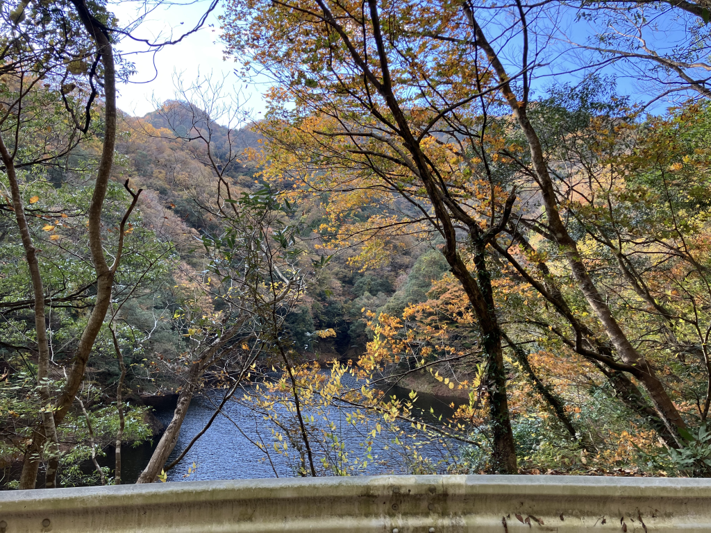 竜神狭の紅葉を眺めながら