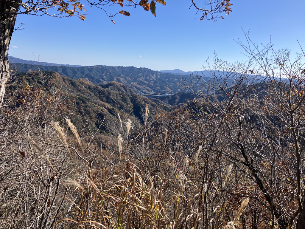 竜神大橋を遠望する