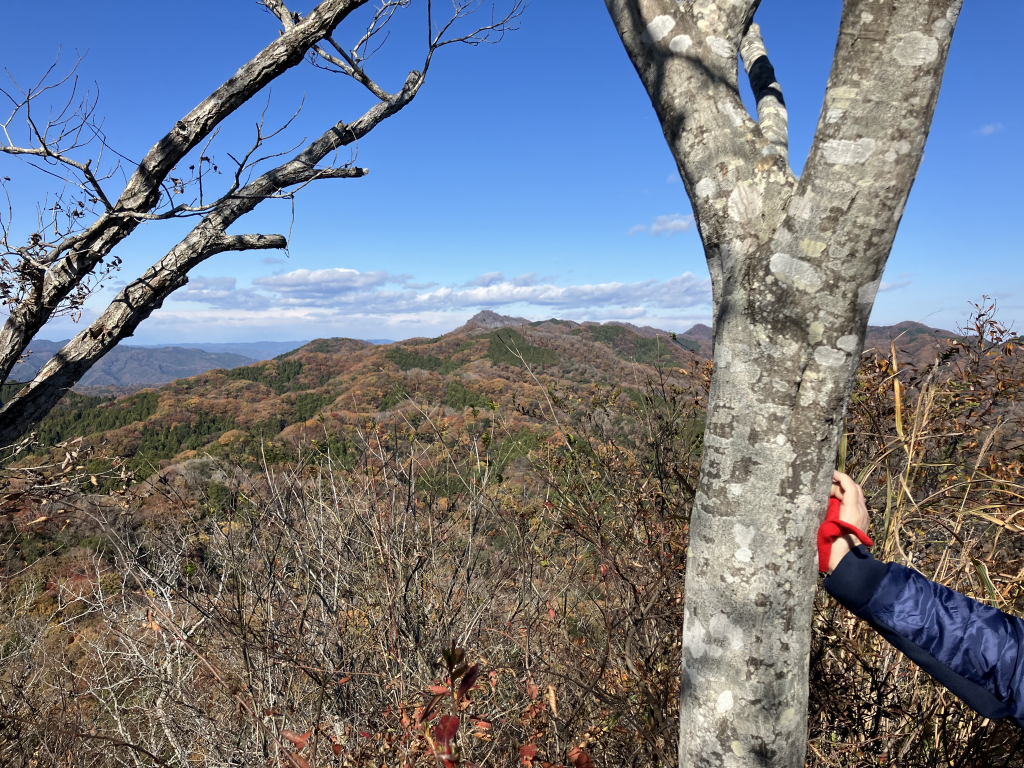 奥久慈男体山を望む