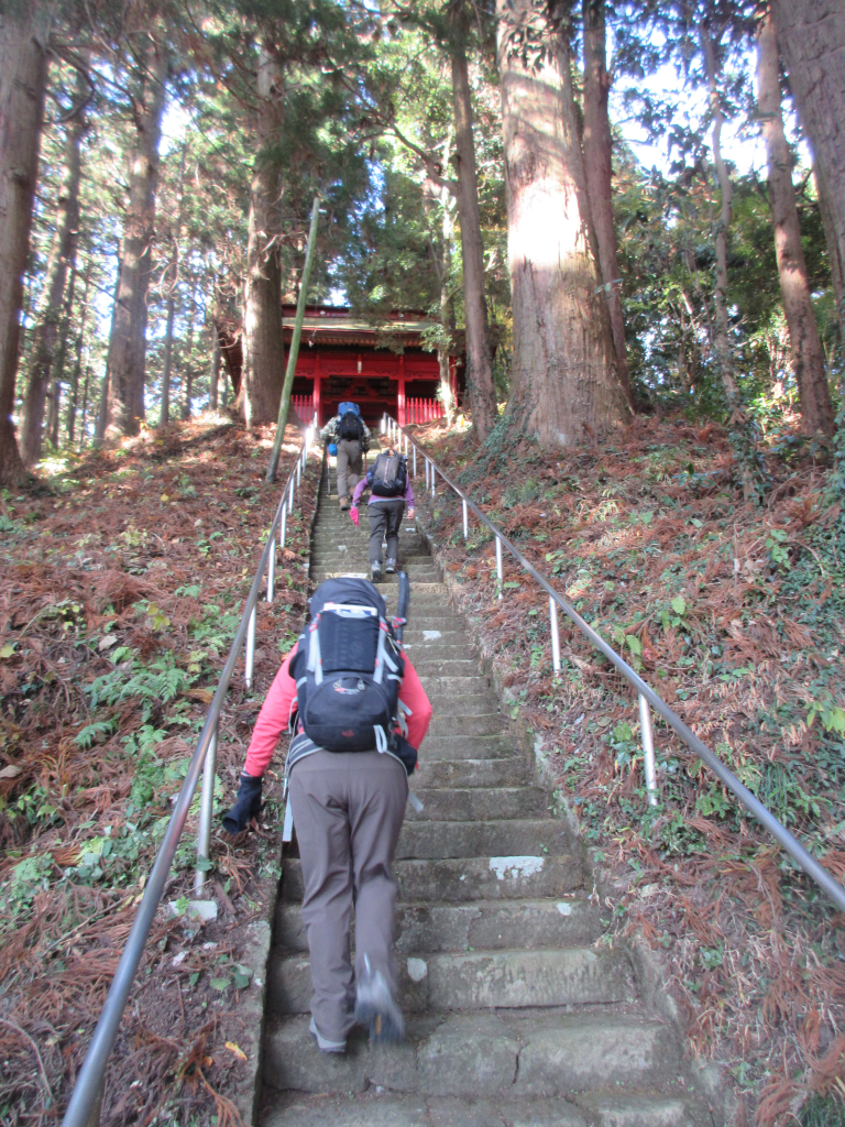 武生神社の長い石段　