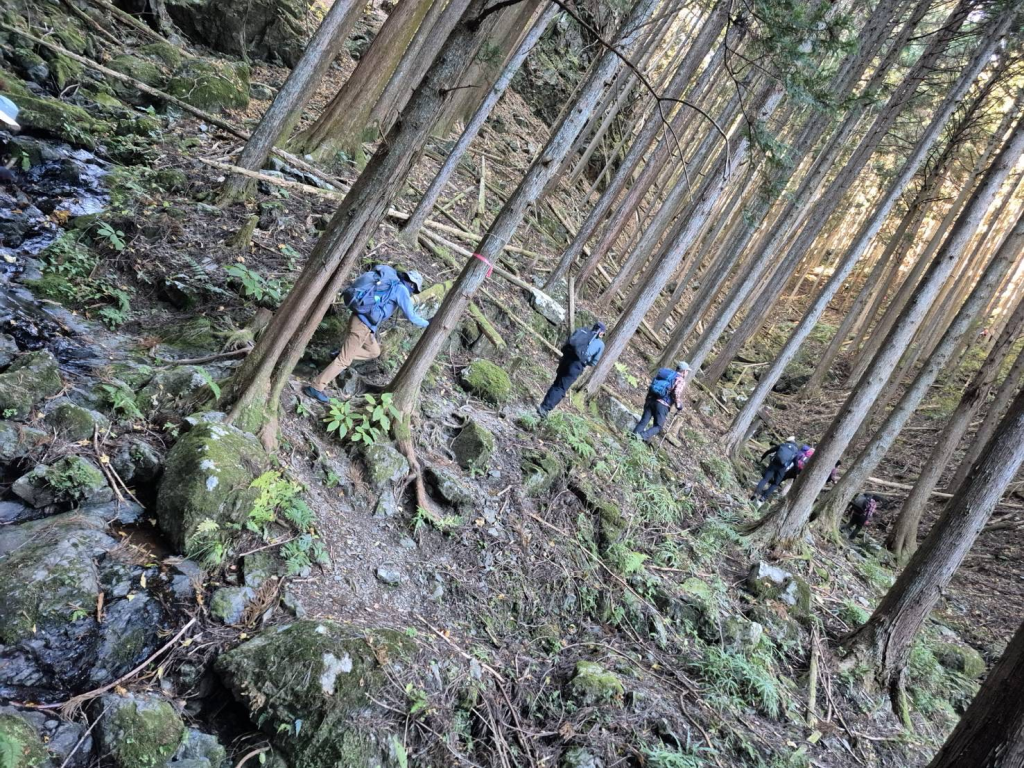 地味な登りが続きます