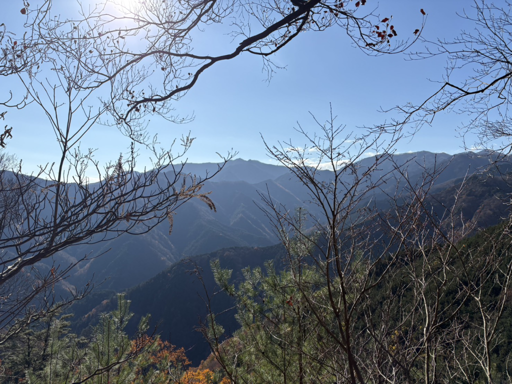 藤棚山付近からの眺め(川苔山が見えます)