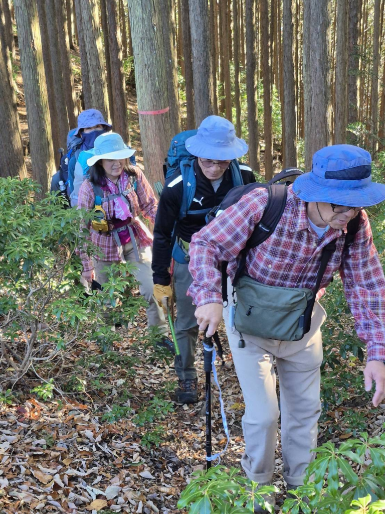 アセビを掻き分け金比羅山に向かいます