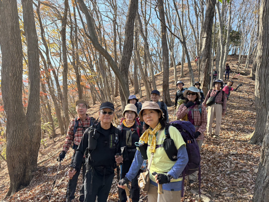 紅葉と落ち葉の絨毯