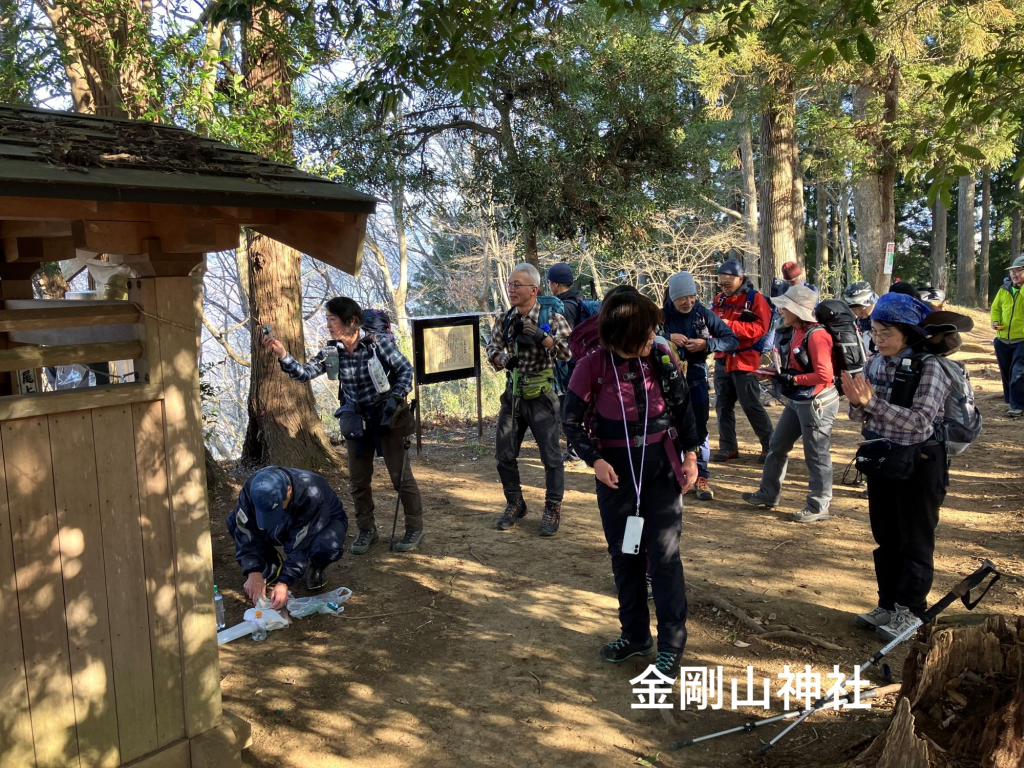 最初のピーク。金剛山。近くでは杉の伐採が