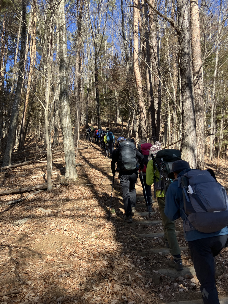 丸太階段道が続く